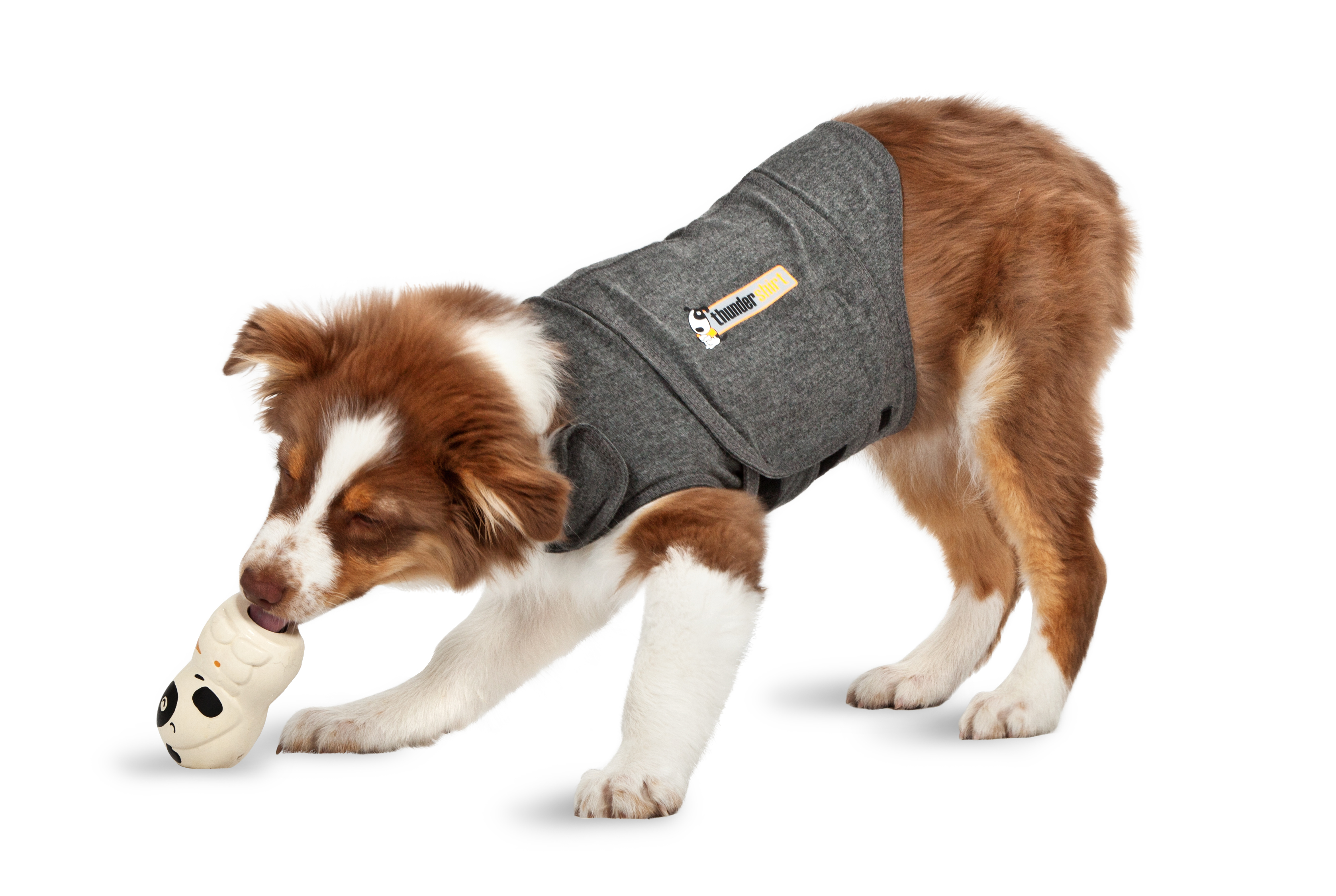 The Makers of ThunderShirt Introduce Two New Calming Pet Products